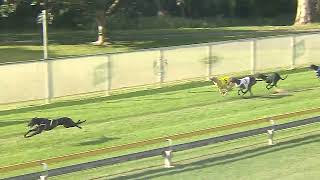 Capalaba04082024Race10 [upl. by Norven]