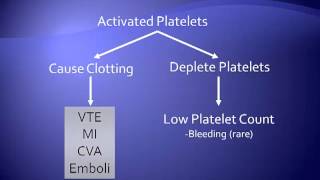 HeparinInduced Thrombocytopenia [upl. by Rambert]