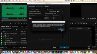 Separating Audio Channels in Premiere Pro CC [upl. by Airottiv580]