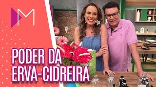 O poder da ervacidreira  Mulheres 01102018 [upl. by Gingras]