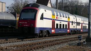 SBahn Zürich  S6 in Regensdorf [upl. by Mickelson]