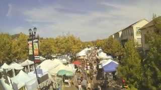 Lafayette Art amp Wine Festival  Official Video [upl. by Eetnod]