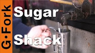 Making Maple Syrup in a Sugar Shack  GardenFork [upl. by Rep]