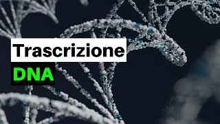 Un DOGMA nella BIOLOGIA La trascrizione del DNA nei procarioti e negli eucarioti [upl. by Musa474]