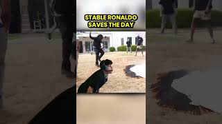 Stable Ronaldo saved the Amp House [upl. by Yasdnyl356]