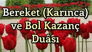 Bereket Duası  Karınca Duası  Bol Rızık Duası  Amin [upl. by Myles935]