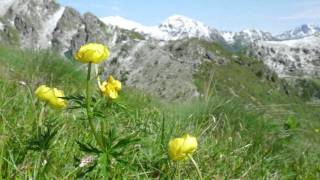 Trodo dei fiori e laghi di Lastè da Passo Brocon  Lagorai [upl. by Ardnahcal]