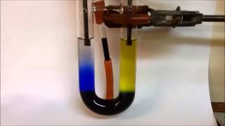 Migration of ions in Copper II Chromate VI Time Lapse 330pm to 1010 am [upl. by Retxab59]