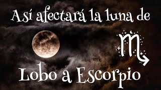 LUNA del Lobo todo sobre la LUNA LLENA de Enero Y Efecto sobre los Signos del Zodiaco Escorpio ♏️ [upl. by Dub450]