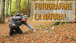 FOTOGRAFARE LA NATURA [upl. by Gulgee158]