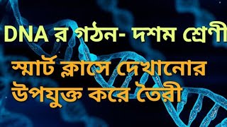 DNA structure in Bengaliডিএনএর গঠন  smart class video [upl. by Odranoel369]