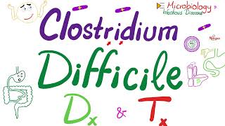 Clostridium difficile Pseudomembranous Colitis Diagnosis amp Treatment [upl. by Lantha]