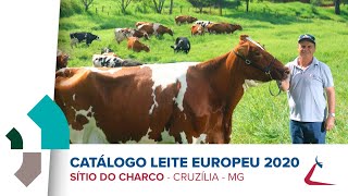 Lançamento Catálogo  Leite Europeu  2020  CRV Lagoa [upl. by Deery386]