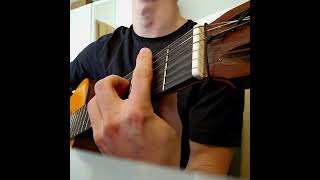 Sarà perché ti amo  Ricchi e Poveri guitarcover [upl. by Keithley300]