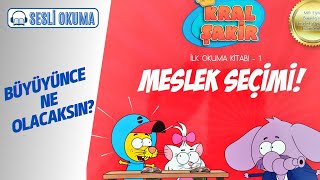 KRAL ŞAKİR MESLEK SEÇİMİ  Çocuklar İçin Sesli Okuma [upl. by Nidorf685]