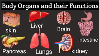 An Introduction to Body Organs and Their Functions Understanding the Workings of the Human Body [upl. by Comethuauc596]