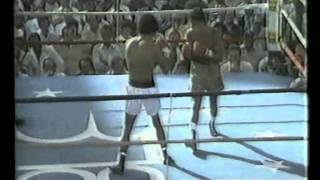 Camacho vs Limon [upl. by Ainwat520]