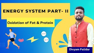 Energy System II Oxidation of Fat amp Protein  Aerobic Energy System  Exercise Physiology By Divyam [upl. by Oiliruam297]