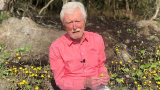 Coltsfoot with John Feehan in April  part of the Wildflowers of Offaly series [upl. by Esoj]