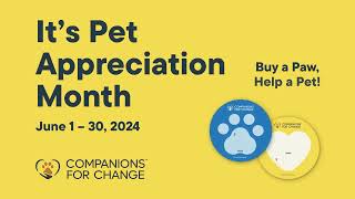 June is Pet Appreciation Month [upl. by Geminius]