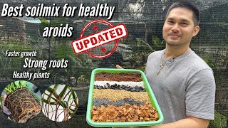 BEST SOILMIX FOR HEALTHY AROIDS UPDATED [upl. by Erodaeht]