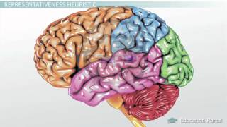 Types of Heuristics Availability Representativeness amp Base [upl. by Saied952]