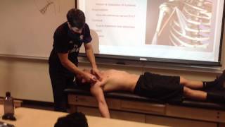 Coracobrachialis Palpation Manual Therapy and Stretch [upl. by Nelie]