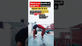 क्या होगा हर रोज 5 मिनट चक्रासन करने से Chakrasana Benefitswheel pose flexibility yogawith vijnesh [upl. by Paddy]