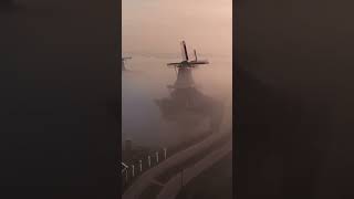 Morning in Zaanse Schans village nature sea shortvideo goodvibes [upl. by Idyak]