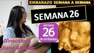 SEMANA 26 EMBARAZO SEMANA A SEMANA POR GINECOLOGA DIANA ALVAREZ [upl. by Ahtaga]