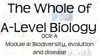 The Whole of OCRA ALevel Biology  Module 4 Biodiversity evolution and disease  Revision [upl. by Myna]