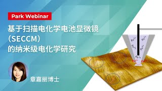 基于扫描电化学电池显微镜（SECCM）的纳米级电化学研究  Park Systems Webinar [upl. by Leitnahs]