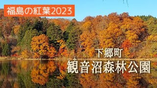 【Vlog 41】福島の紅葉 ～下郷町《観音沼森林公園》～ 2023113撮影 [upl. by Douville]