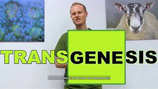 What is transgenesis all about [upl. by Firman]