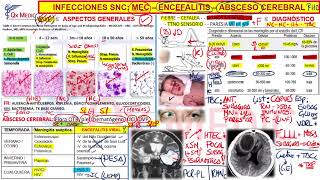 6 RM19 2V DÍA 1 NEUROLOGÍA INFECCIONES TRATAMIENTO [upl. by Alekat]