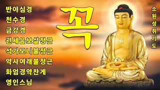 매일 들어라 행운이 올 것이다 🙏 반야심경천수경금강경관세음보살정근석가모니불정근약사여래불정근화엄경약찬게  영인스님 [upl. by Nee66]