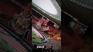 1FC KAISERSLAUTERN  BAYER LEVERKUSEN  CHOREO DFB POKALFINALE 250524 [upl. by Felix]