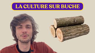 LA CULTURE DE CHAMPIGNONS SUR BUCHE les bases [upl. by Blaise]