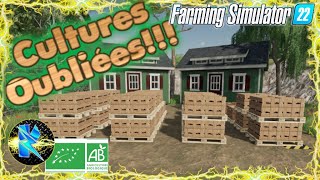 Fs22 Cultures Oubliées 31 On rajoute un spot dabeilles farmingsimulator farming [upl. by Oicinoid529]