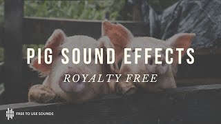 BEST PIG SOUND EFFECTS  PIG SQUEAL amp SNORT  FARM SOUND LIBRARY [upl. by Palma762]