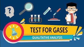 Qualitative Analysis  Test for Gases [upl. by Cassilda723]