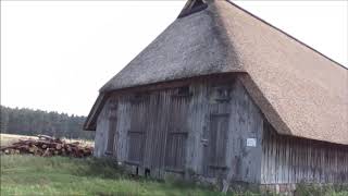 Wanderung ab Undeloh zum Pastor Bode Teich und zu den Weseler Bach Teiche in der Heide [upl. by Ahseiyk]