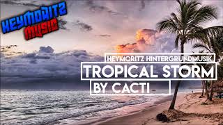 ♫ Tropical Storm Cospe Remix by Cacti ♫✘HeyMoritz Hintergrundmusik✘ [upl. by Perot]