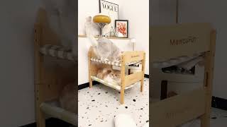 Bunk Cat Bed Perfect for Cat Families  Space Saving Cat Furniture roomdecor cat [upl. by Aiyram201]