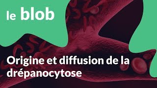 Origine et diffusion de la drépanocytose [upl. by Chloras]