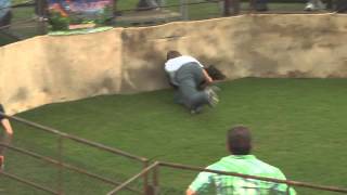 2012 Wild Hog Catching  Wrestling World Championship Sabinal Texas  Jacob [upl. by Aloap]