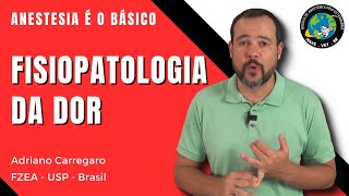 7⃣ ENTENDENDO A FISIOPATOLOGIA DA DOR  Anestesia é o Básico 7 [upl. by Deeyn]