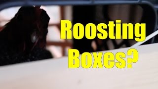 Roosting Boxes [upl. by Kered]