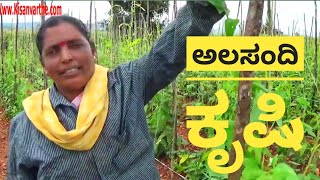 ಅಲಸಂದಿ ಕೃಷಿAlasande cultivationCowpea [upl. by Ydurt]