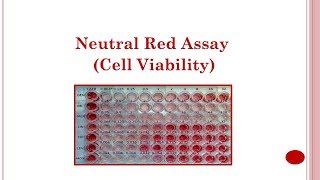 Neutral Red Assay Cell Viability 🔴 [upl. by Ayekel]